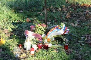 Adrijina "devetka" u smrt odnijela češke turiste: Pola vijeka od...