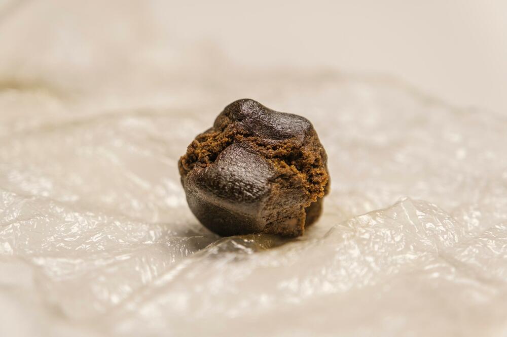 Ilustracija, Foto: Shutterstock