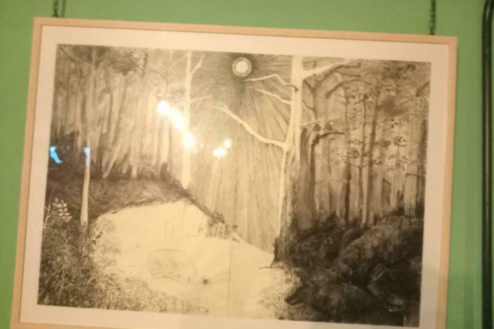 Rad "Bjesovi" Aleksandre Božović, Foto: Pavle Savović