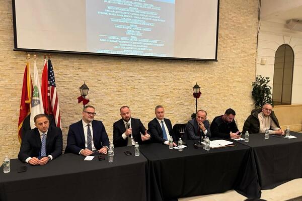 Nikolić: Nervoza kod Vučića i Mandića, biće im sve teže da Crnu...