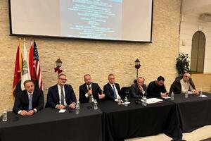 Nikolić: Nervoza kod Vučića i Mandića, biće im sve teže da Crnu...