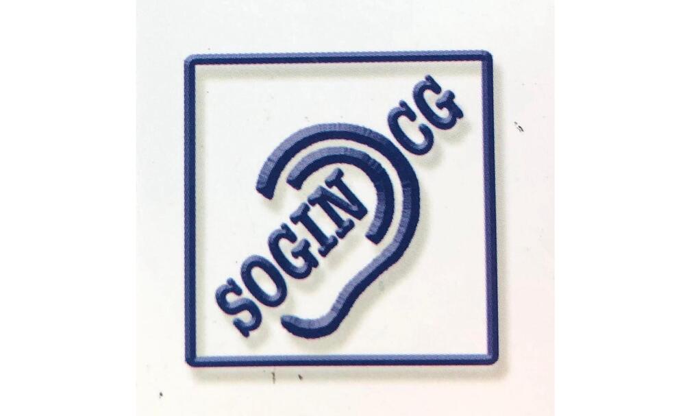 SOGIN: Zakon o znakovnom jeziku se ne može kvalitetno pisati bez...