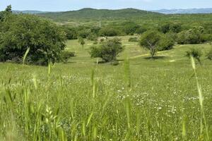 Solarnu elektranu dobijaju i Vraćenovići