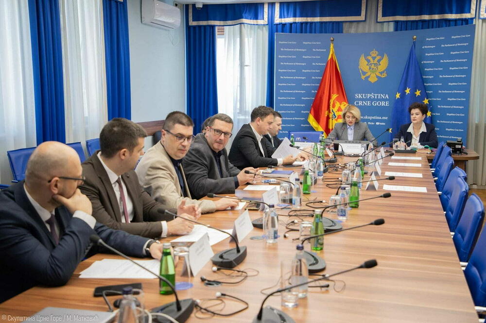 Konkurs raspisan 3.decembra: Ustavni odbor, Foto: Skupština Crne Gore
