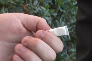 Snus je problem koji se više ne može ignorisati: Često se koristi...