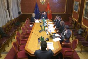 Saslušani kandidati za članove Centralne izborne komisije