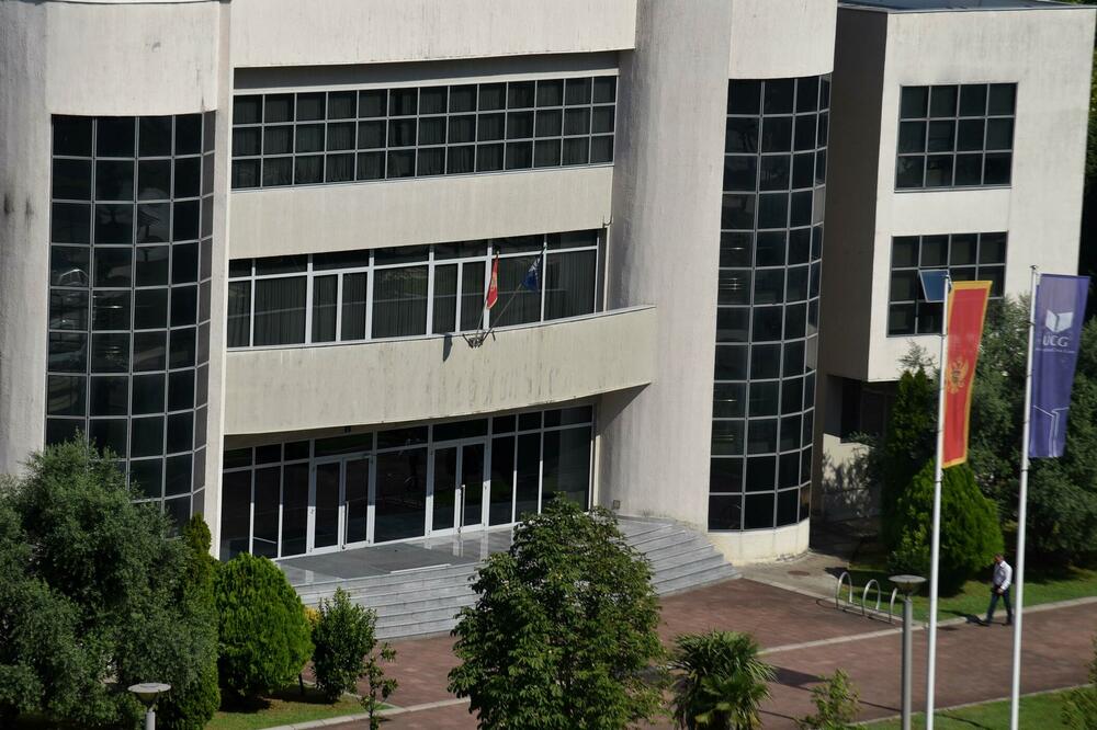 Spremaju dokumentaciju za akreditaciju:, Foto: BORIS PEJOVIC