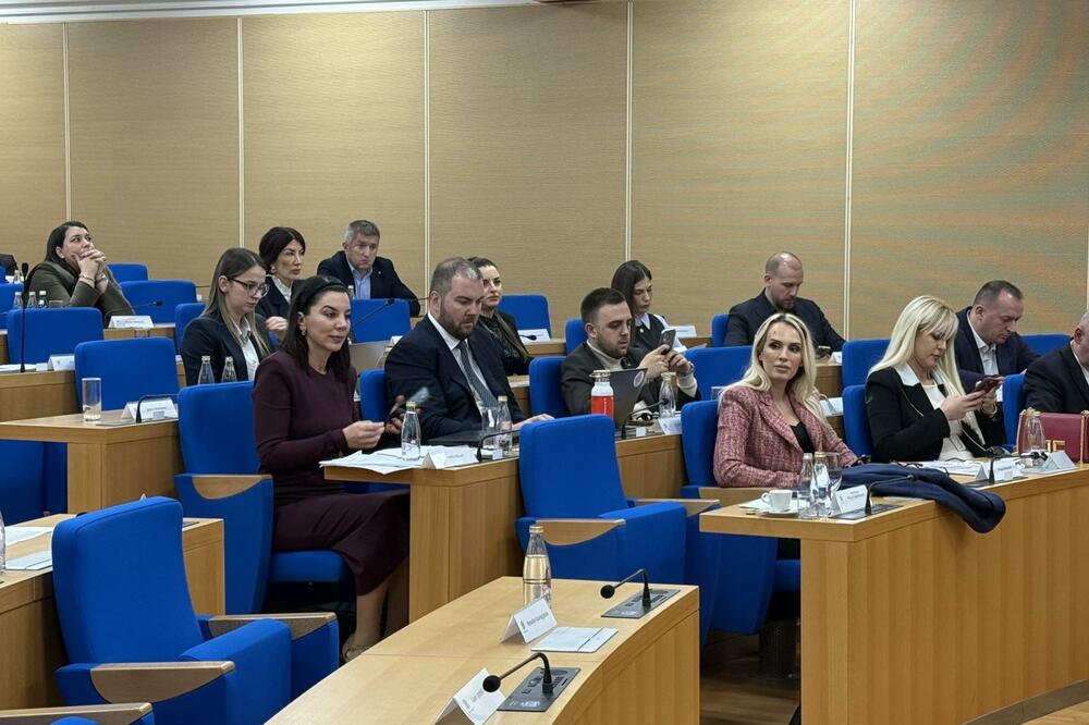 Sa sjednice, Foto: Nikola Saveljić