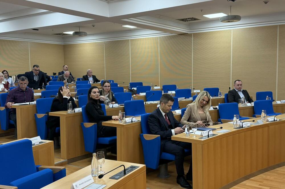 Iz podgoričkog parlamenta, Foto: Nikola Saveljić
