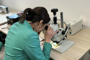 Predstavljen prvi integrisani mikročip dizajniran u Crnoj Gori