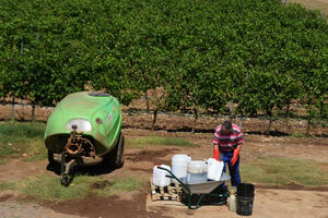 Akciza besmislena, prodaja pala 25 odsto: Ministarstvo ne odustaje...