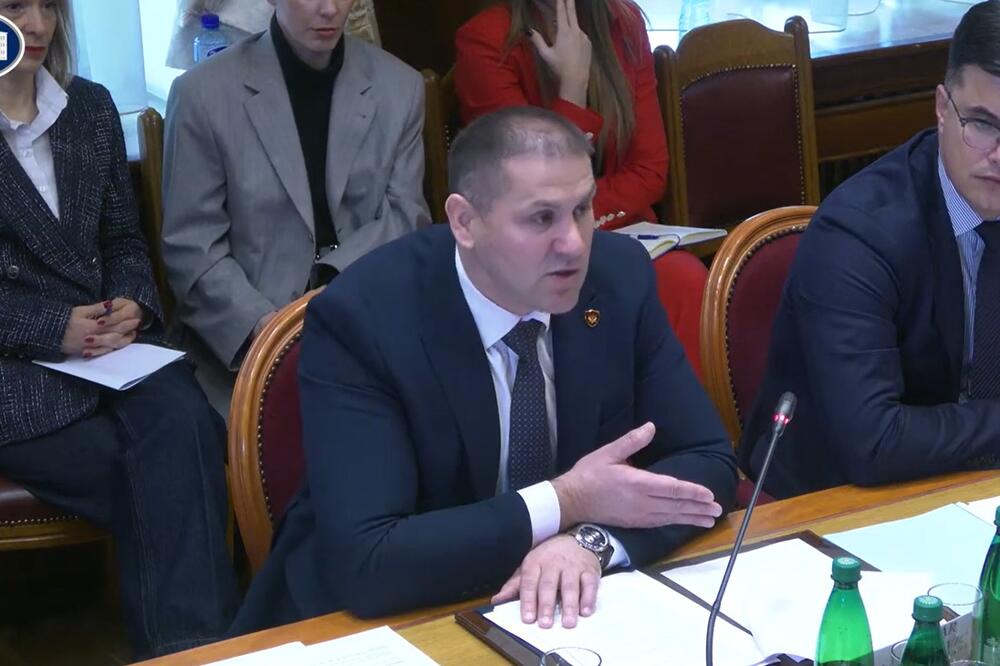 Šćepanović na odboru, Foto: Screenshot/Skupština Crne Gore