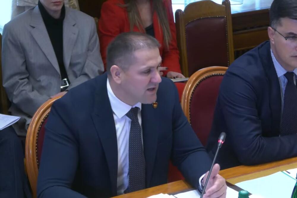 Šćepanović na sjednici, Foto: Printscreen/Youtube/Skupština Crne Gore