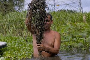 Pecanje u smrdljivoj i masnoj vodi: Šta je sve uradio kolumbijski...
