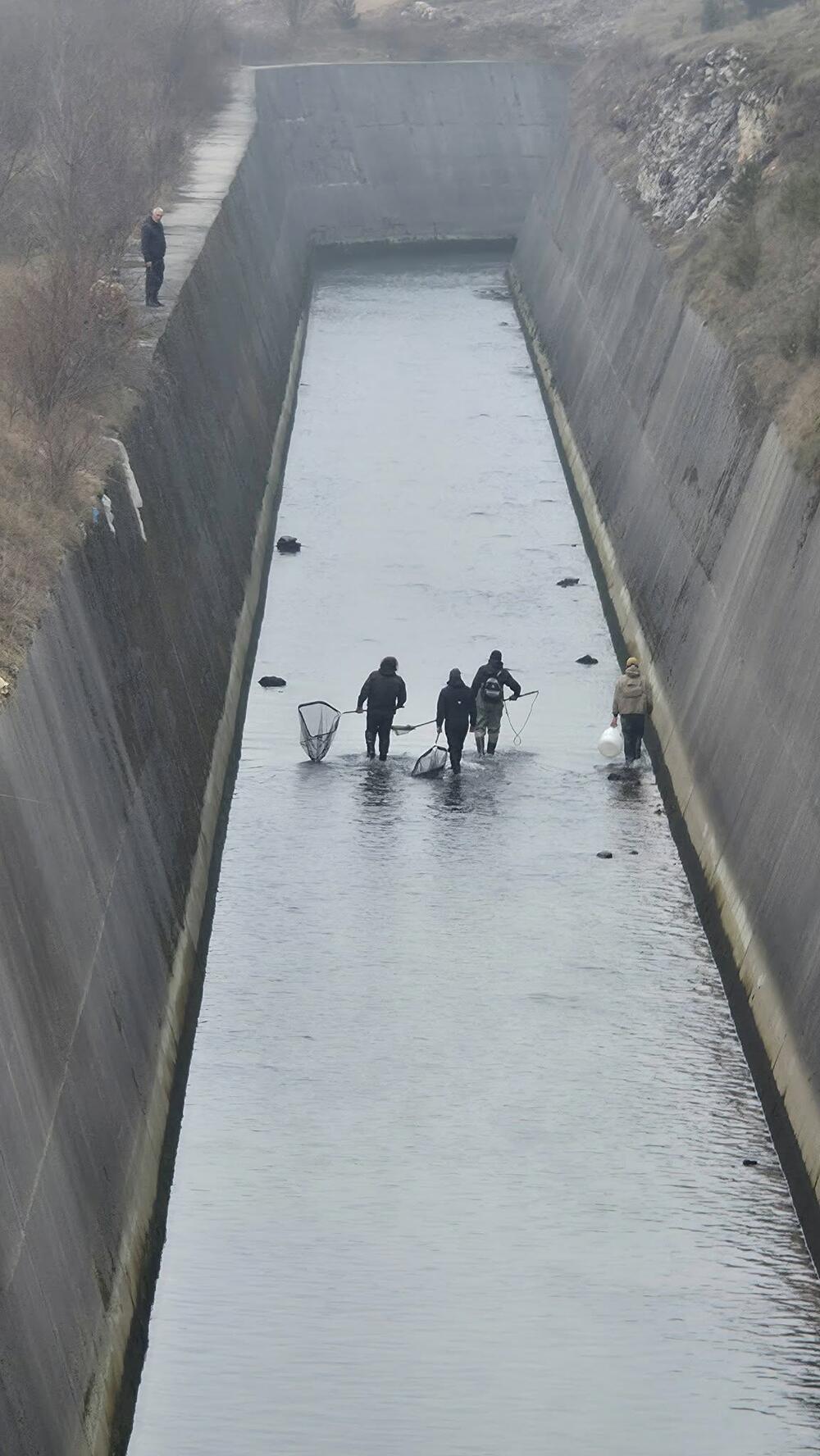 <p>Za potrebe sanacionog ribolova korišćen je elektrošoker, uređaj kojim su upravljali stručnjaci sa Prirodno-matematičkog fakulteta iz Podgorice, jedini u državi koji imaju dozvolu za takav vid izlova</p>