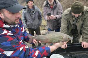 Dvodnevna akcija spašavanja riba iz starog toka Ćehotine: Ekolozi...