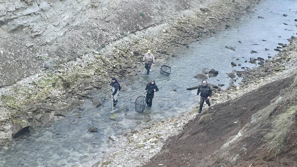 <p>Za potrebe sanacionog ribolova korišćen je elektrošoker, uređaj kojim su upravljali stručnjaci sa Prirodno-matematičkog fakulteta iz Podgorice, jedini u državi koji imaju dozvolu za takav vid izlova</p>