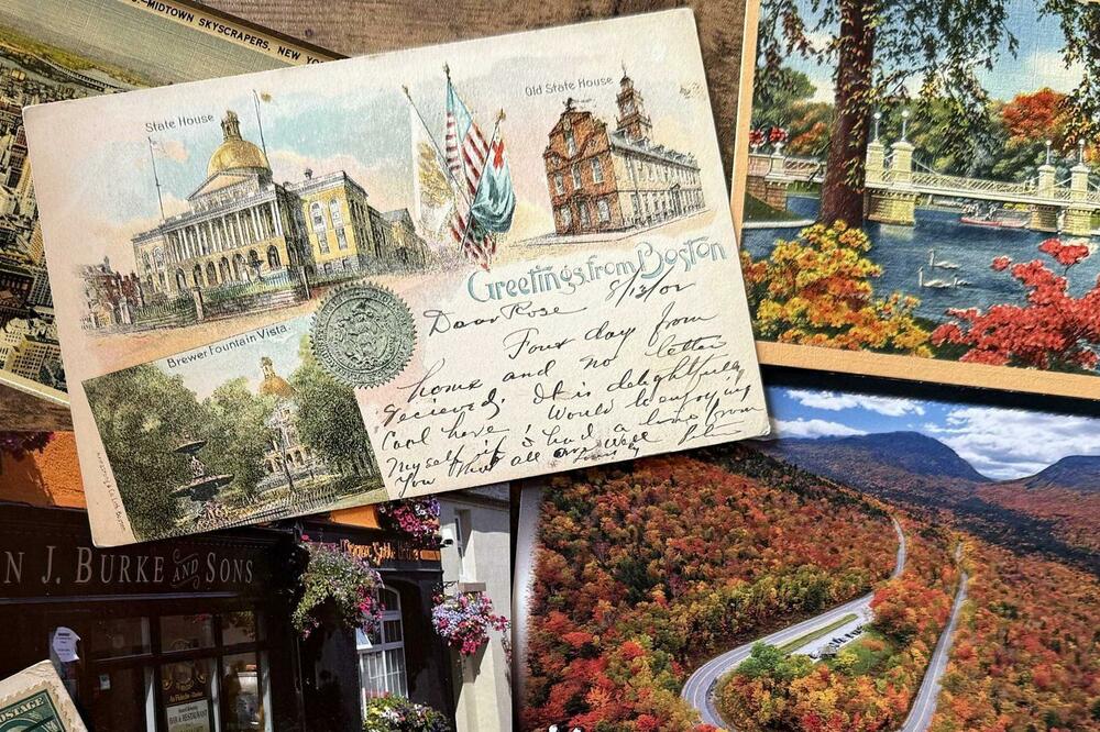 Foto: Asia London Palomba