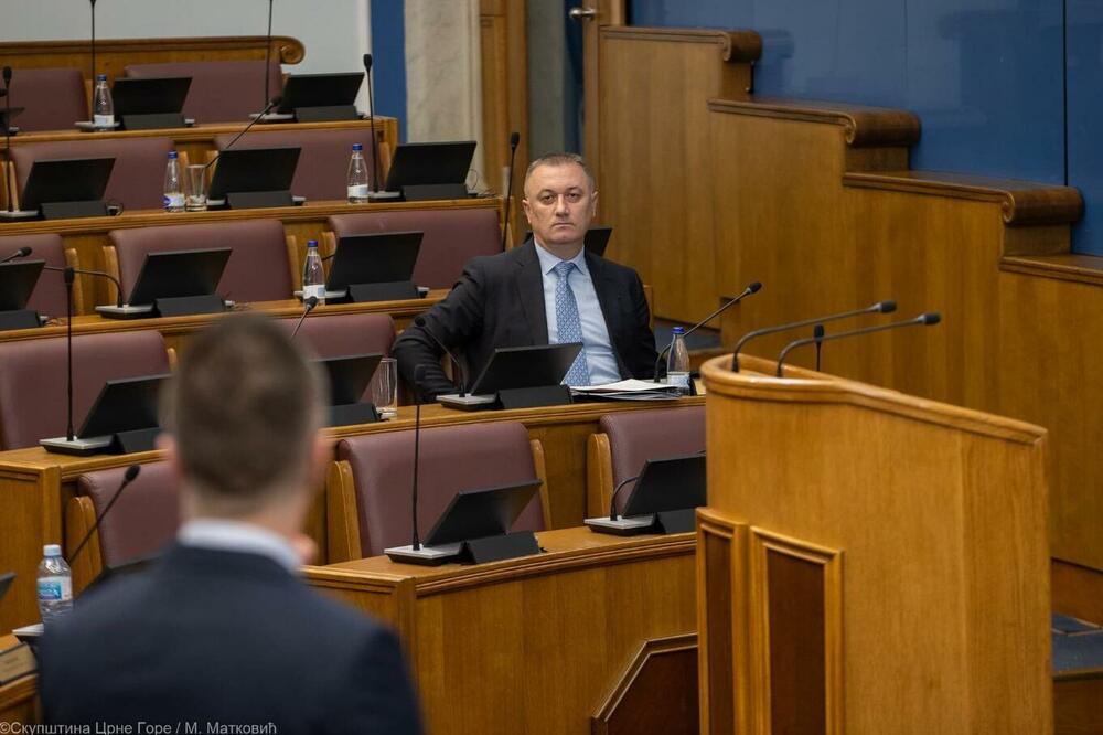 Damir Gutić, Foto: Skupština Crne Gore/M.Matković