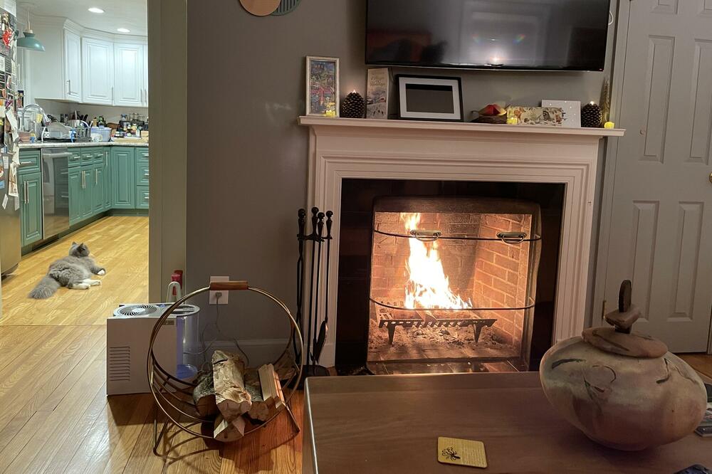 Zimska idila, Foto: Milan Vujović