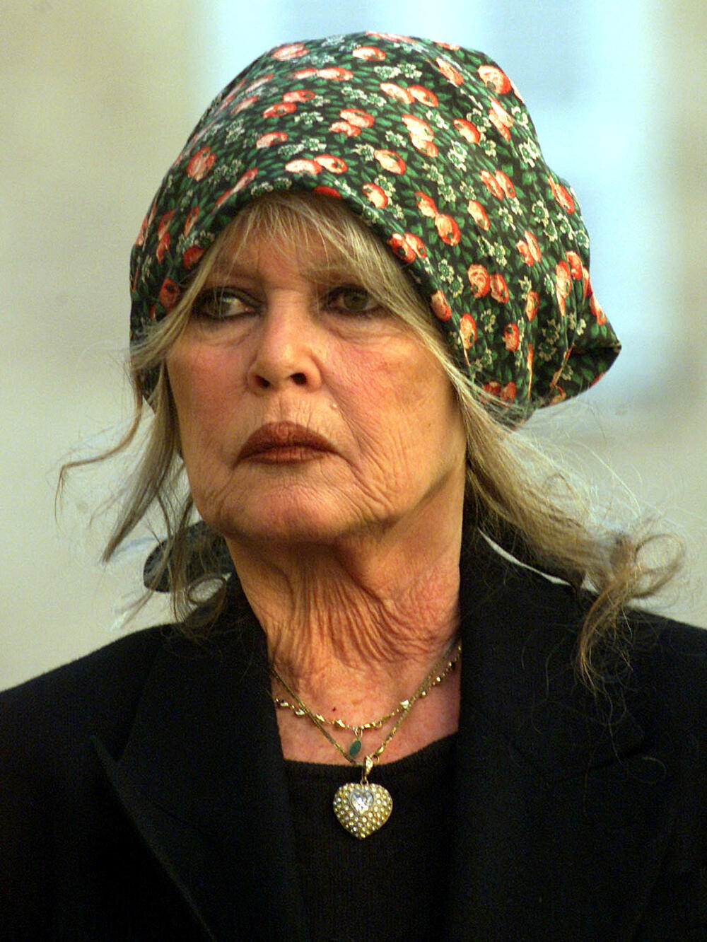 <p>Bardo je tokom pedesetih i šezdesetih godina postala slavljeni seks-simbol, ali je kasnije prigrlila aktivizam za prava životinja i sve kontroverzniji politički stav</p>