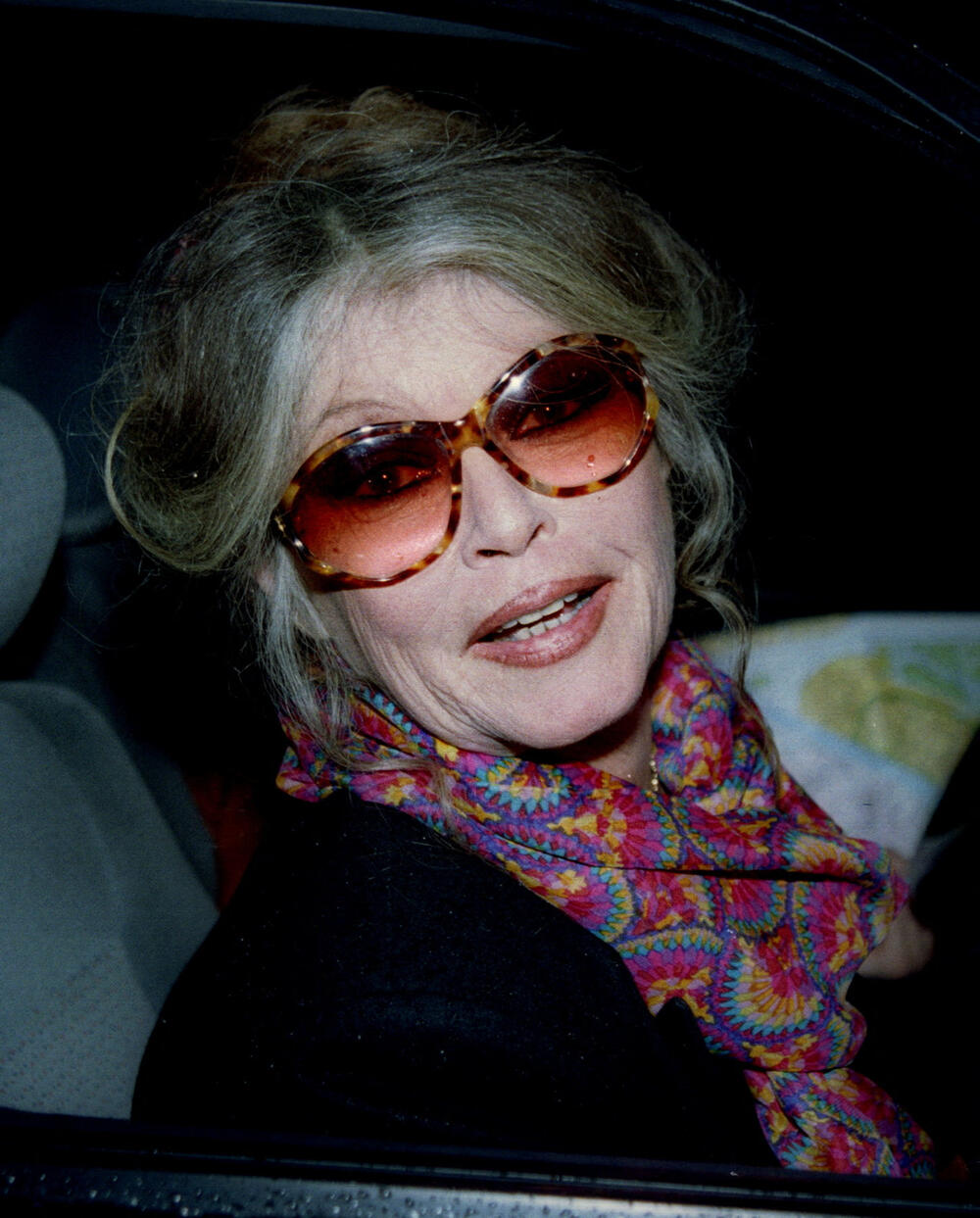 <p>Bardo je tokom pedesetih i šezdesetih godina postala slavljeni seks-simbol, ali je kasnije prigrlila aktivizam za prava životinja i sve kontroverzniji politički stav</p>