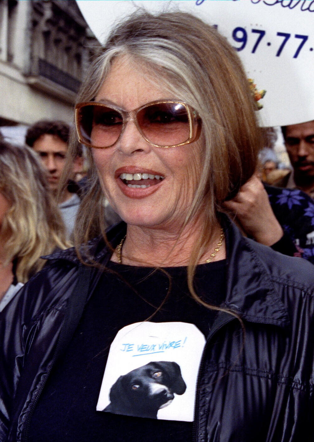 <p>Bardo je tokom pedesetih i šezdesetih godina postala slavljeni seks-simbol, ali je kasnije prigrlila aktivizam za prava životinja i sve kontroverzniji politički stav</p>