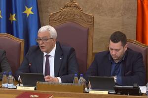 Mandić: Mislim da postoji većina za izbor Krstonijevića; Lopičić...