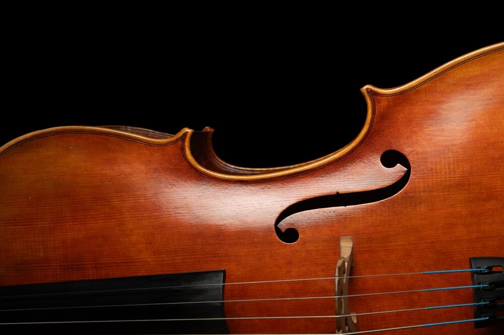 Ilustracija, Foto: Shutterstock