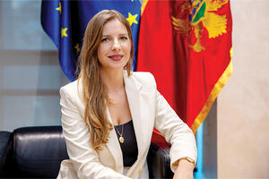 Zorana Sekulić, Direktorat za naftu i gas u Ministarstvu...