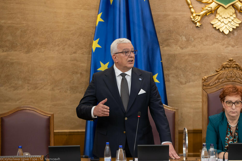 Mandić, Foto: Skupština Crne Gore/M.Matković