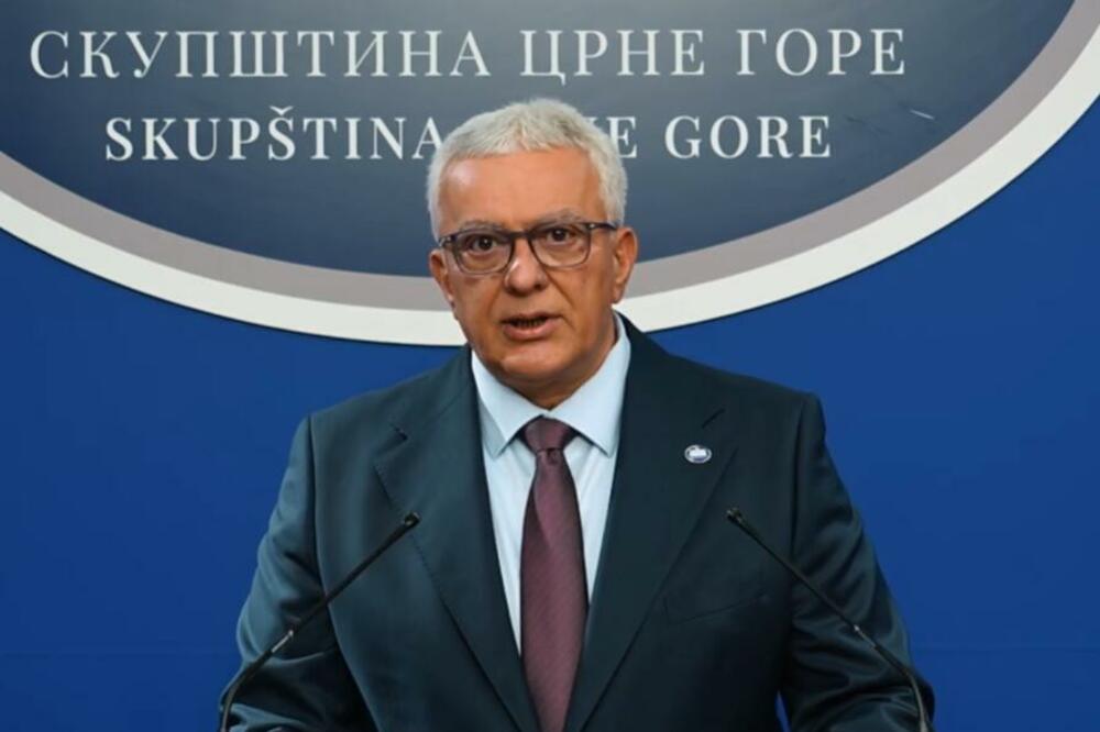 Foto: Skupština Crne Gore/Youtube