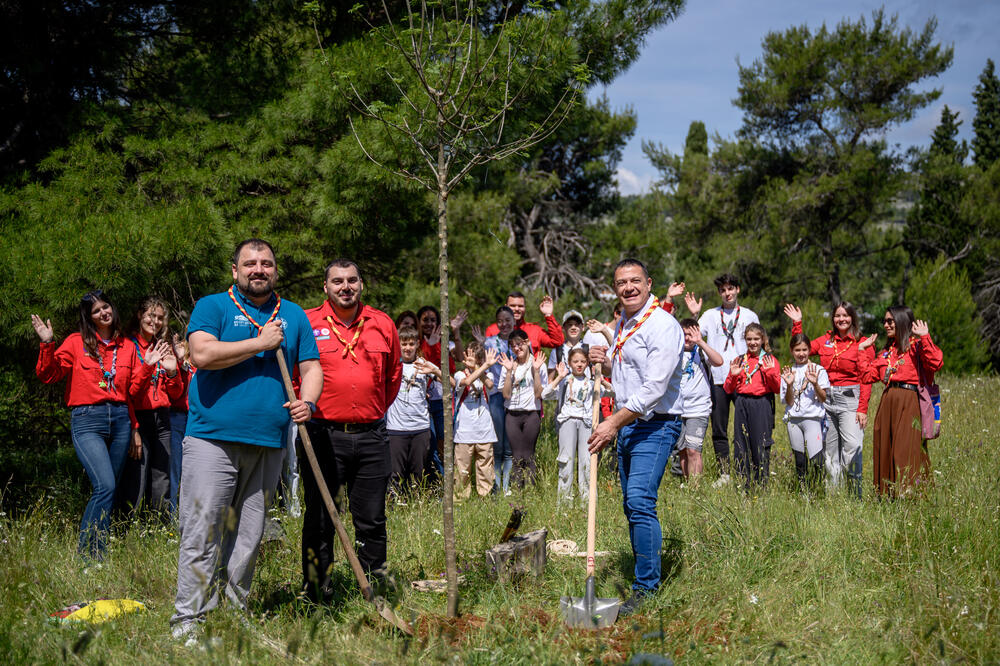 One i Savez izviđača