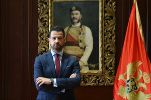 Milatović: Premijer da smijeni odgovorne za to što je Medenica...