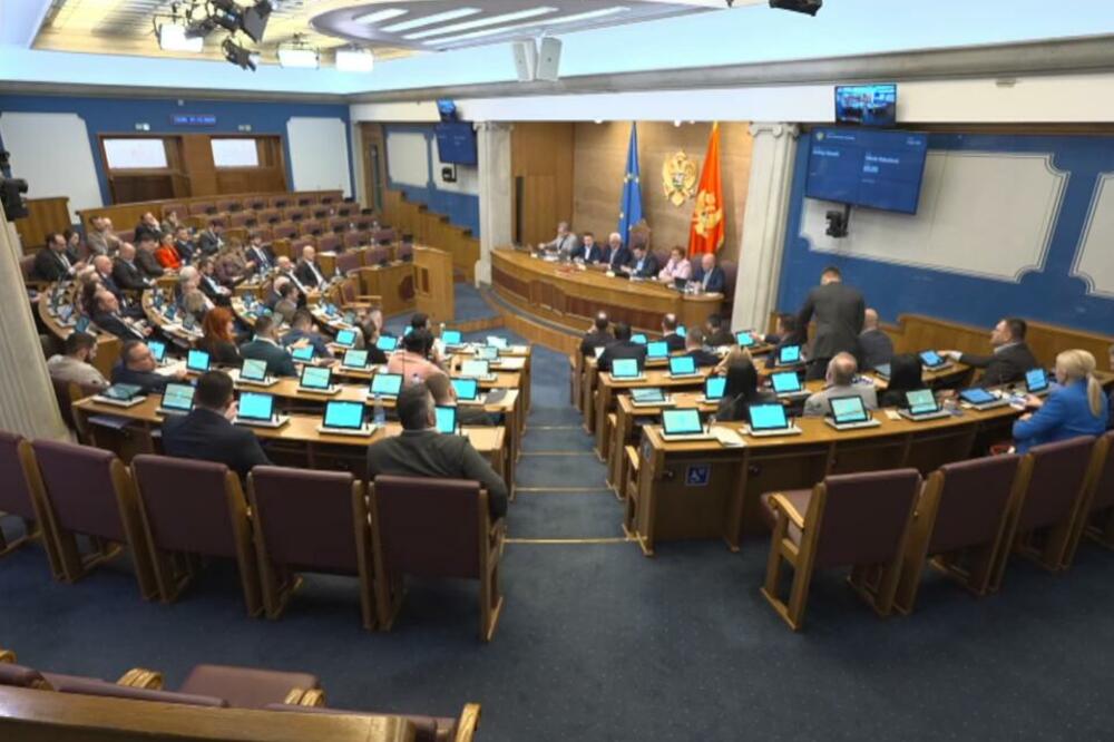 Foto: Skupština Crne Gore/Youtube