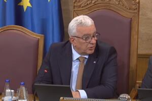 Mandić: NSD i DNP su različite političke organizacije,...