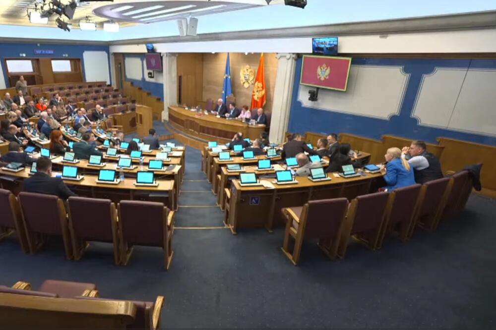 Sa sjednice Skupštine, Foto: Screenshot/Youtube/Skupština Crne Gore