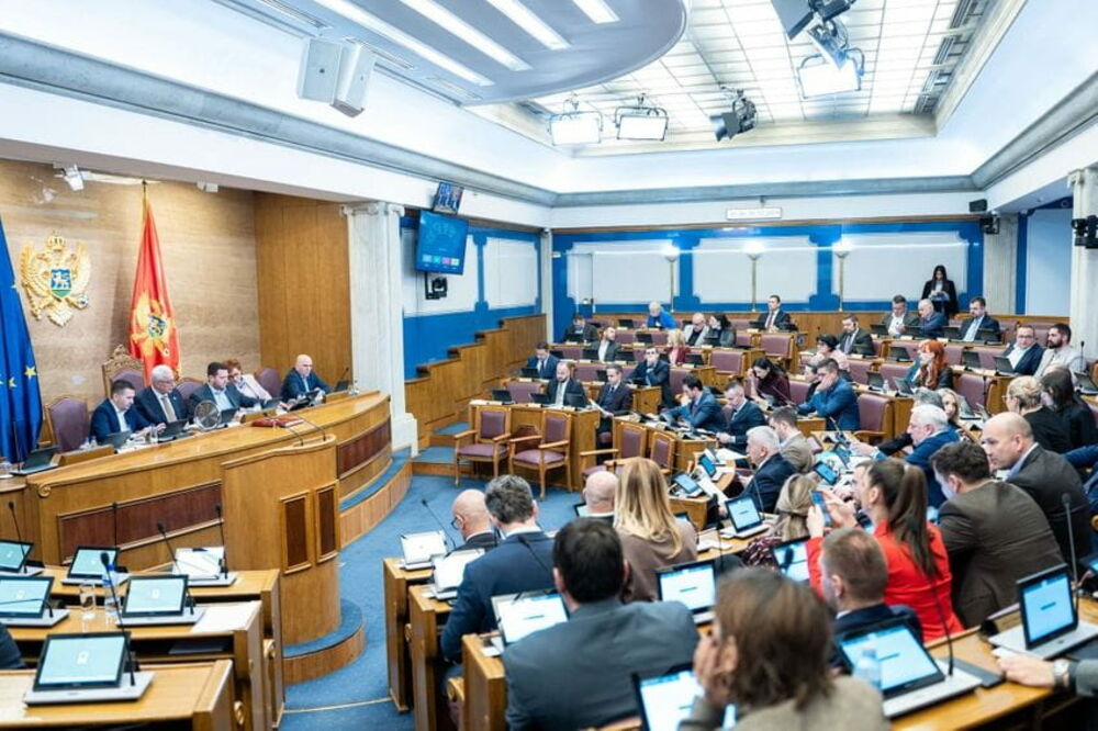 Detalj iz Skupštine, Foto: Skupština Crne Gore