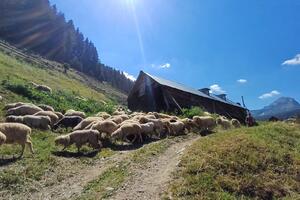 &bdquo;Vikendaši&rdquo; ugrožavaju tradiciju: Katuni Crne Gore - nacionalno...