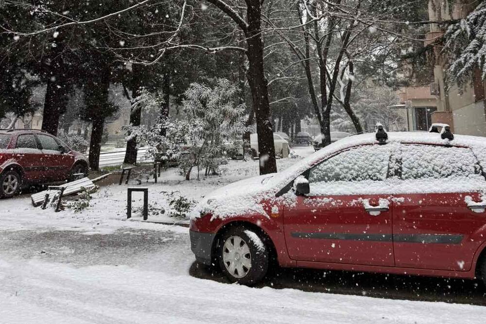 Foto: Nikola Saveljić