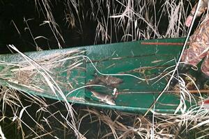 NPCG: Četiri osobe zatečene u nelegalnom izlovu ribe u NP...