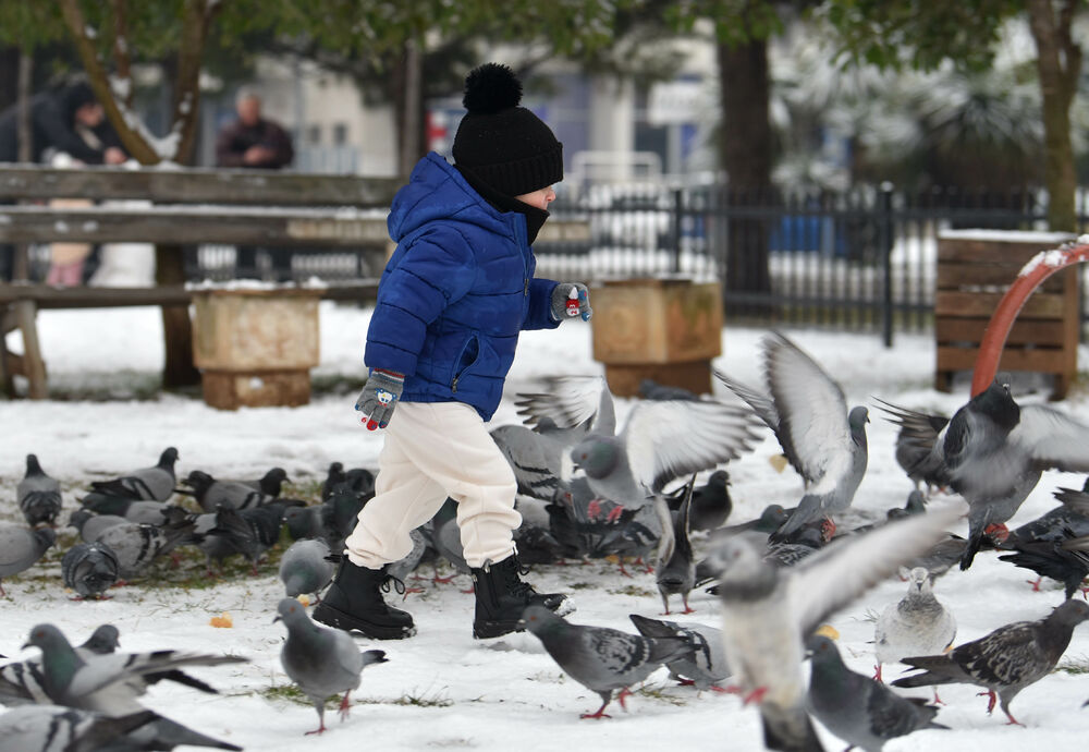 <p>U galeriji slika fotoreportera "Vijesti" Borisa Pejovića pogledajte kako izgleda Podgorica prekrivena snijegom koji je danas pao.</p>