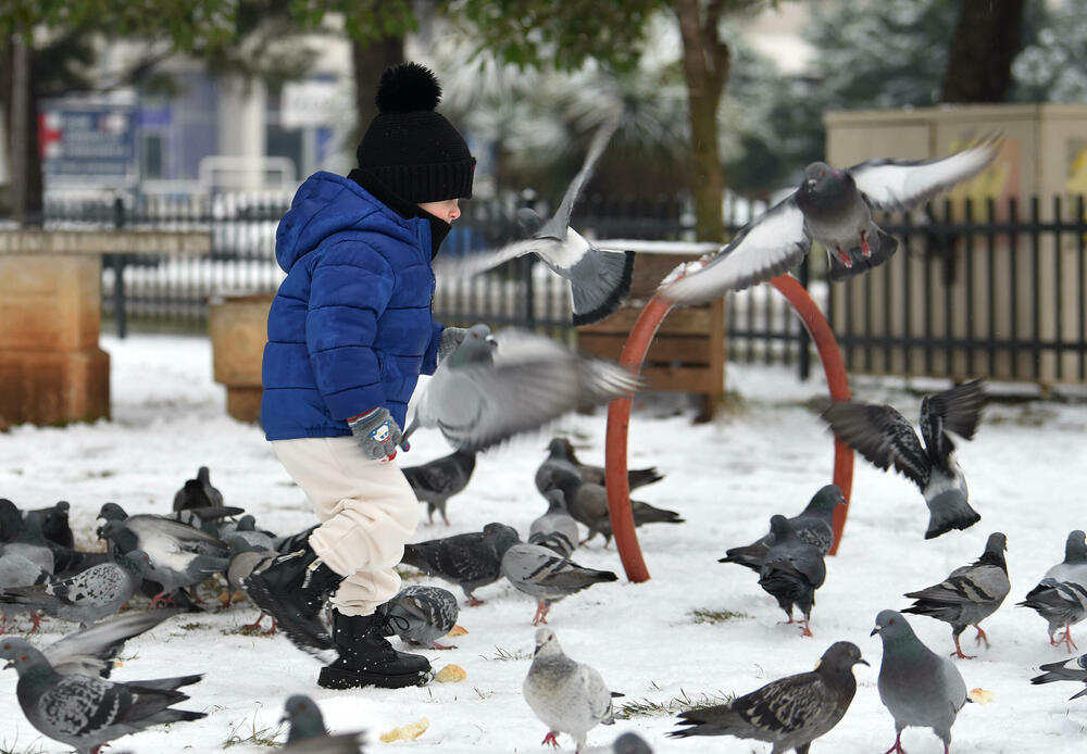 <p>U galeriji slika fotoreportera "Vijesti" Borisa Pejovića pogledajte kako izgleda Podgorica prekrivena snijegom koji je danas pao.</p>