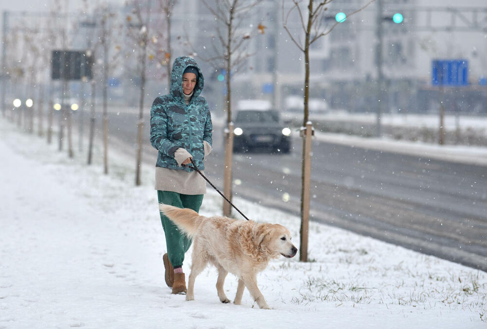 <p>U galeriji slika fotoreportera "Vijesti" Borisa Pejovića pogledajte kako izgleda Podgorica prekrivena snijegom koji je danas pao.</p>