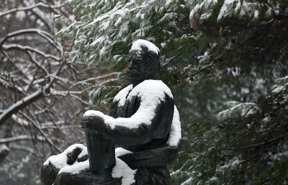 <p>U galeriji slika fotoreportera "Vijesti" Borisa Pejovića pogledajte kako izgleda Podgorica prekrivena snijegom koji je danas pao.</p>