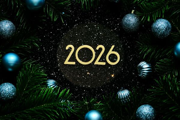 Godina velikih preokreta, karmičkih rezova i sudbinskih odluka -...