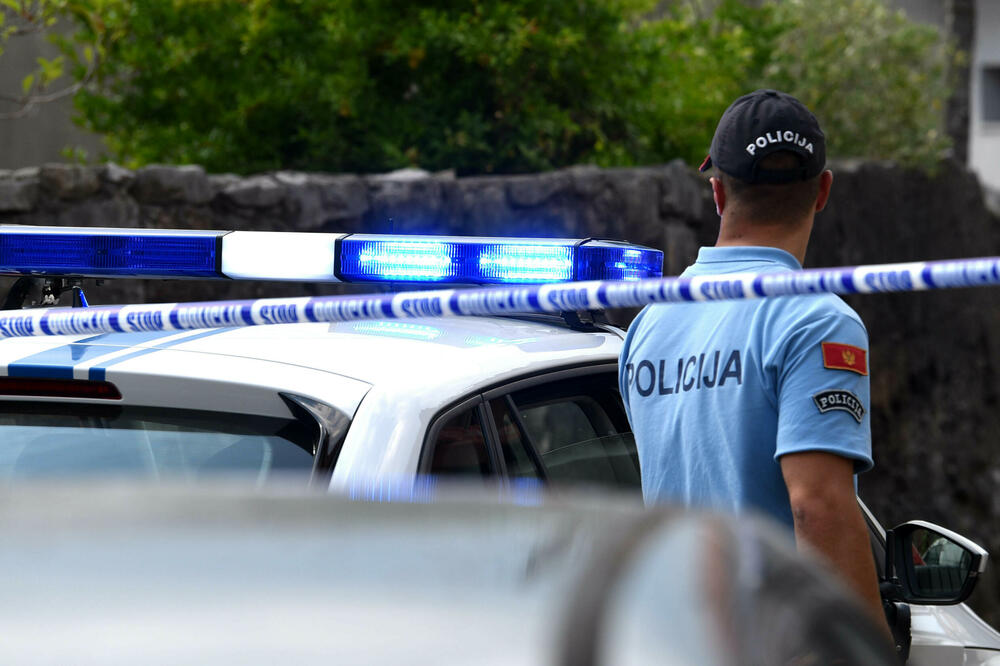 Broj osoba dovedenih u formalni kontakt sa policijom bio 4.802, Foto: BORIS PEJOVIC