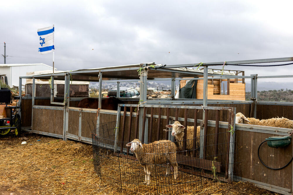 Farma u Evjataru, izraelskom naselju na Zapadnoj obali