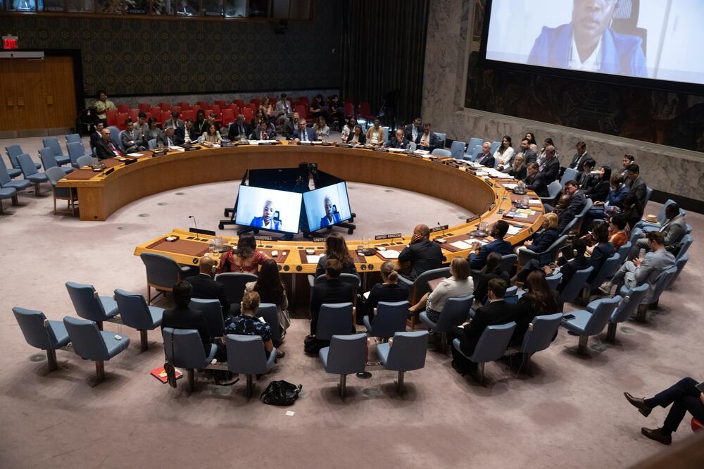 Savjet bezbjednosti, Foto: Shutterstock