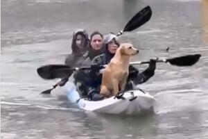 Djevojke kajakom spasile napuštene pse iz poplavljene kuće u...